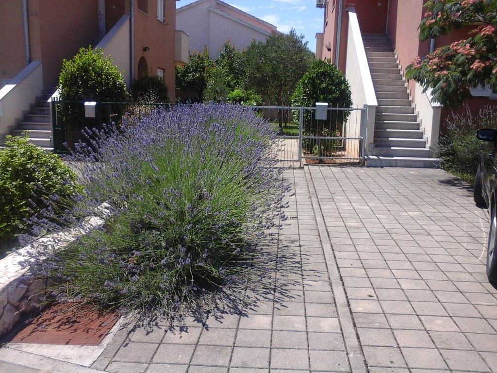 Apartments Danica Водице Экстерьер фото